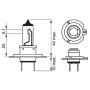 Автолампа Bosch ULTRA WHITE (12V 55W H7 PX26d)