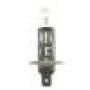 Лампа розжарювання H1 12V 55W LL