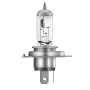 Автолампа Osram ( 35/35W 12V PX43T FS1 )